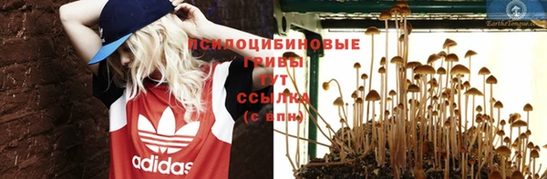 мдма Белокуриха